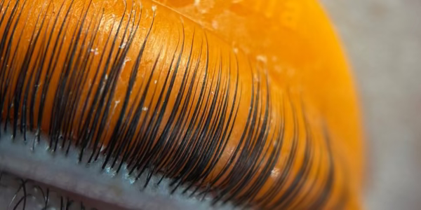 Close-up of eyelashes with black tint on an orange lash shield.