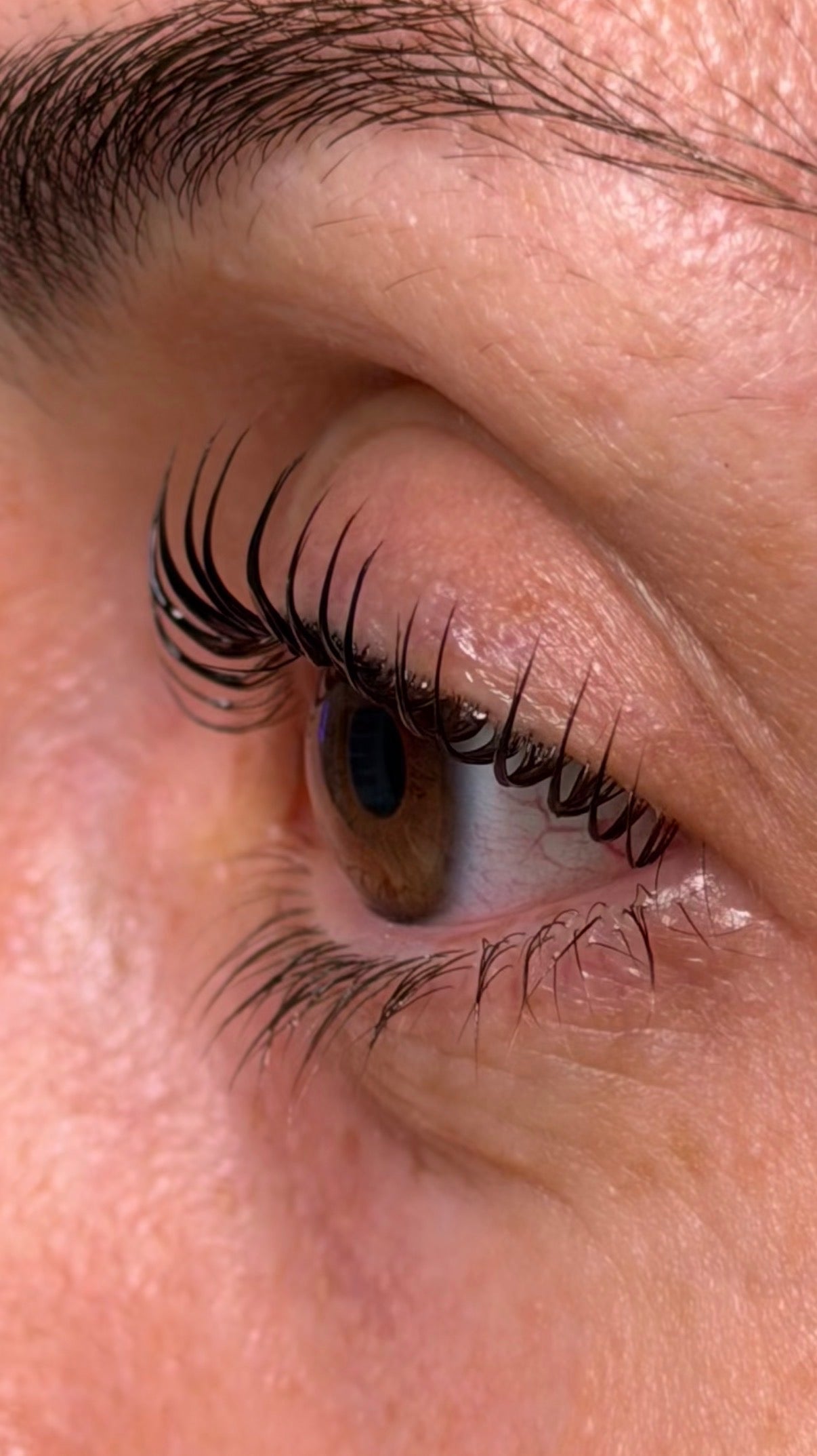 Close-up of a person's eye with detailed eyelashes from a Korean Lash Lift.